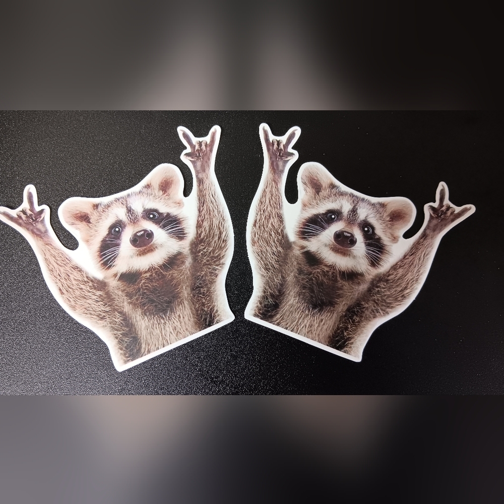 2 RACCOON DECALS (New)